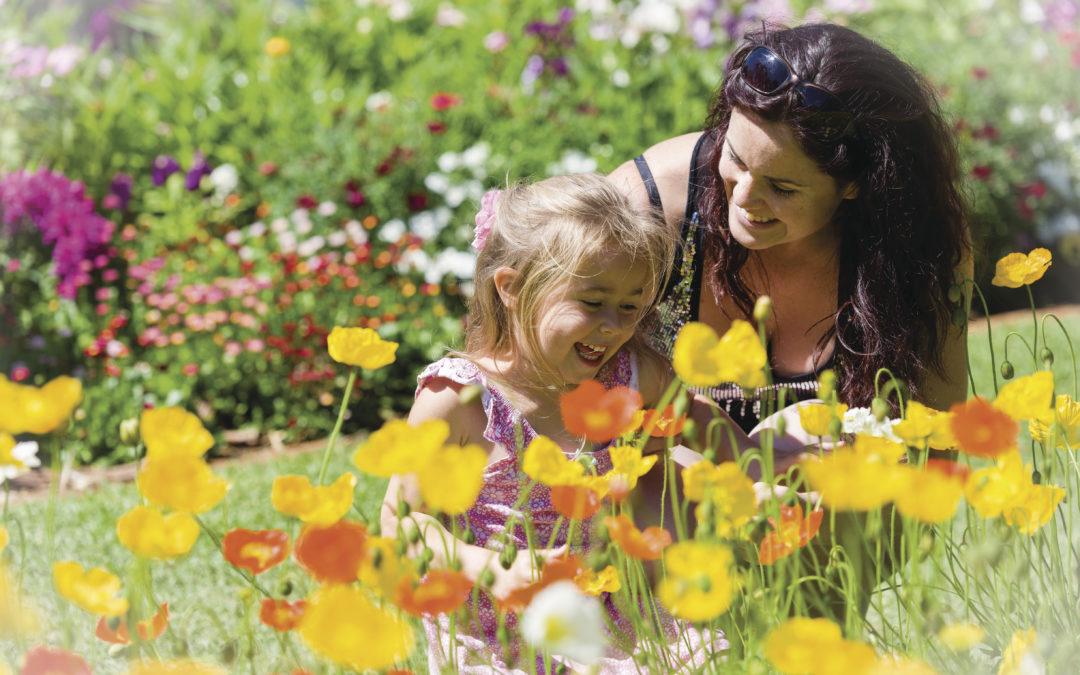 Toowoomba Carnival of Flowers