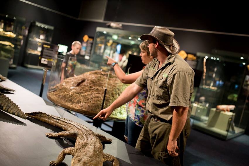 museum-of-tropical-queensland