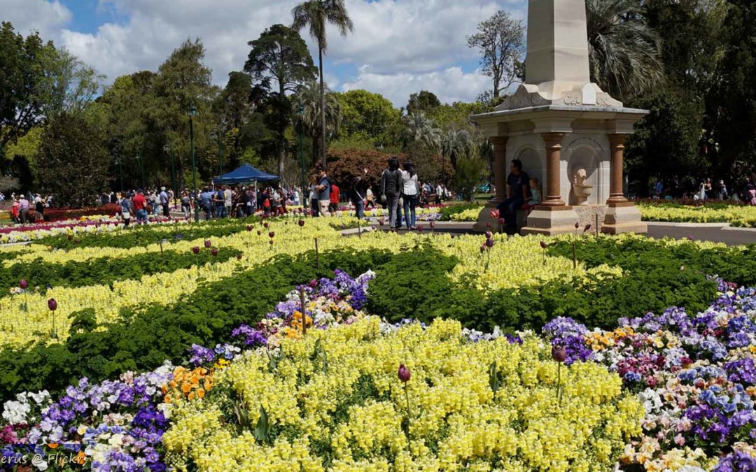 TOOWOOMBA CARNIVAL OF FLOWERS 2017