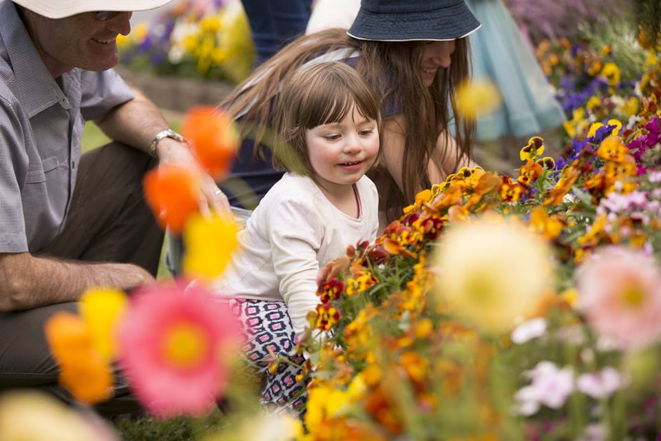 Toowoomba Carnival of Flowers 2016