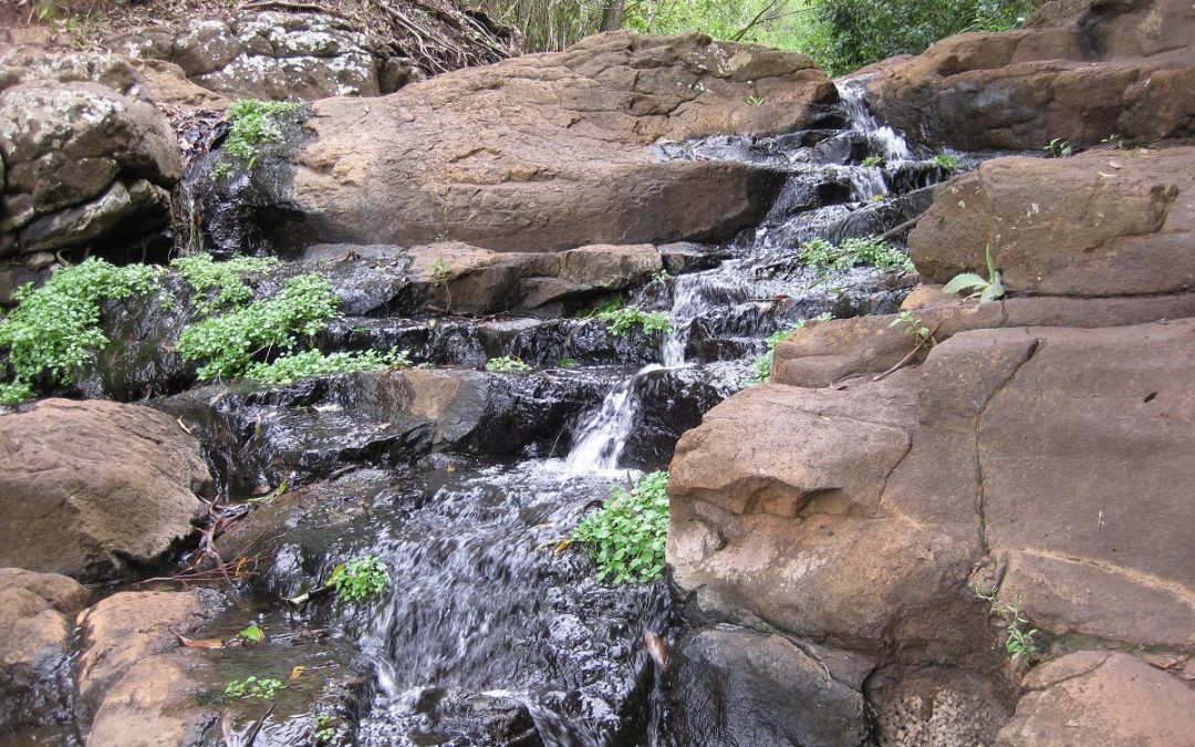 Highfields Falls Toowoomba