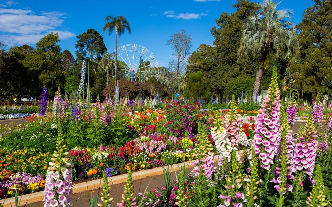 A Blooming Good Time! Toowoomba Carnival of Flowers 2020 a Success