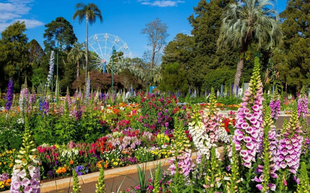 Toowoomba Carnival of Flowers