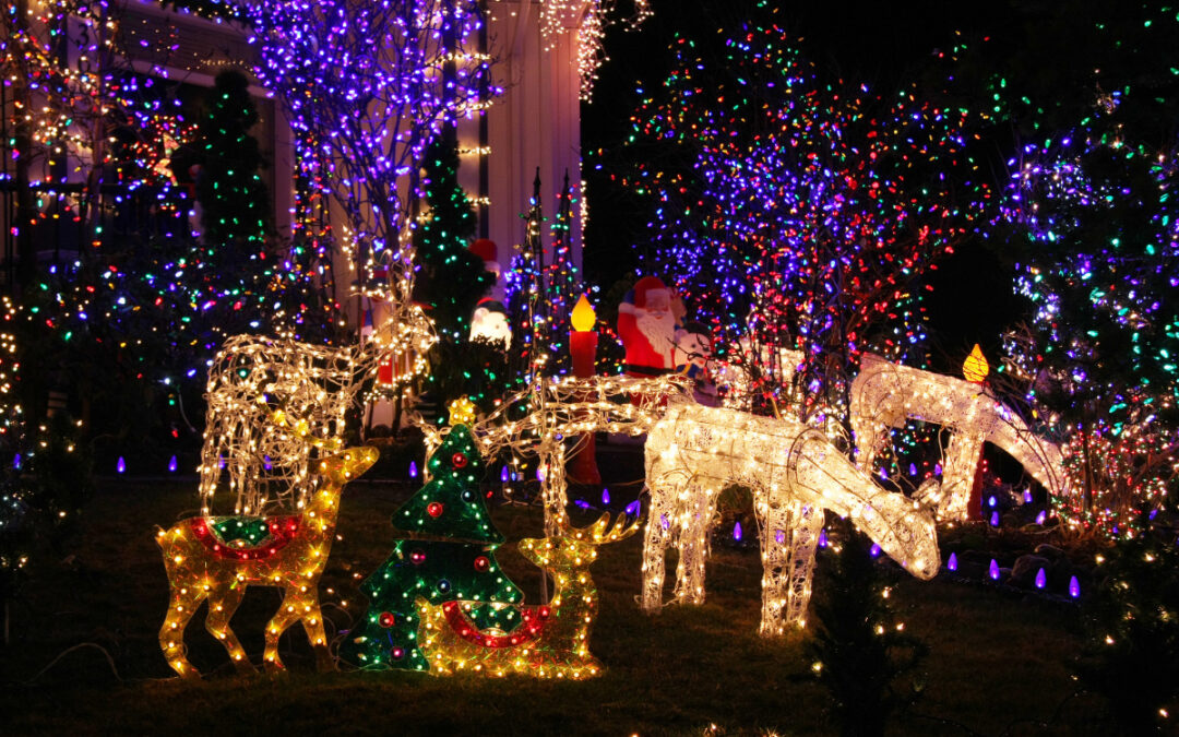 Discover the Magic of Toowoomba’s Christmas Wonderland This 2023