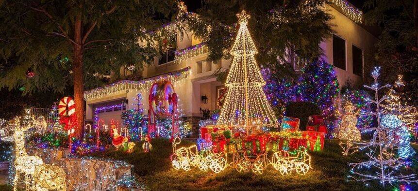 Toowoomba Events: Best Festive Nights in Town