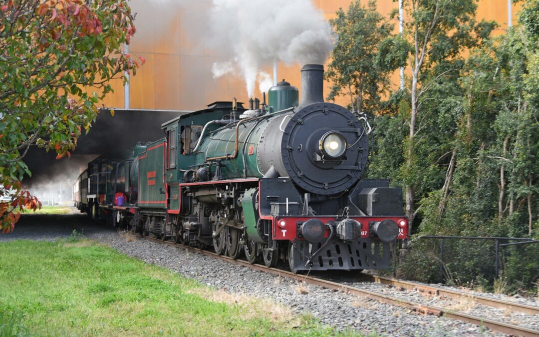 July holidays in Toowoomba: kids’ plans that beat the cold